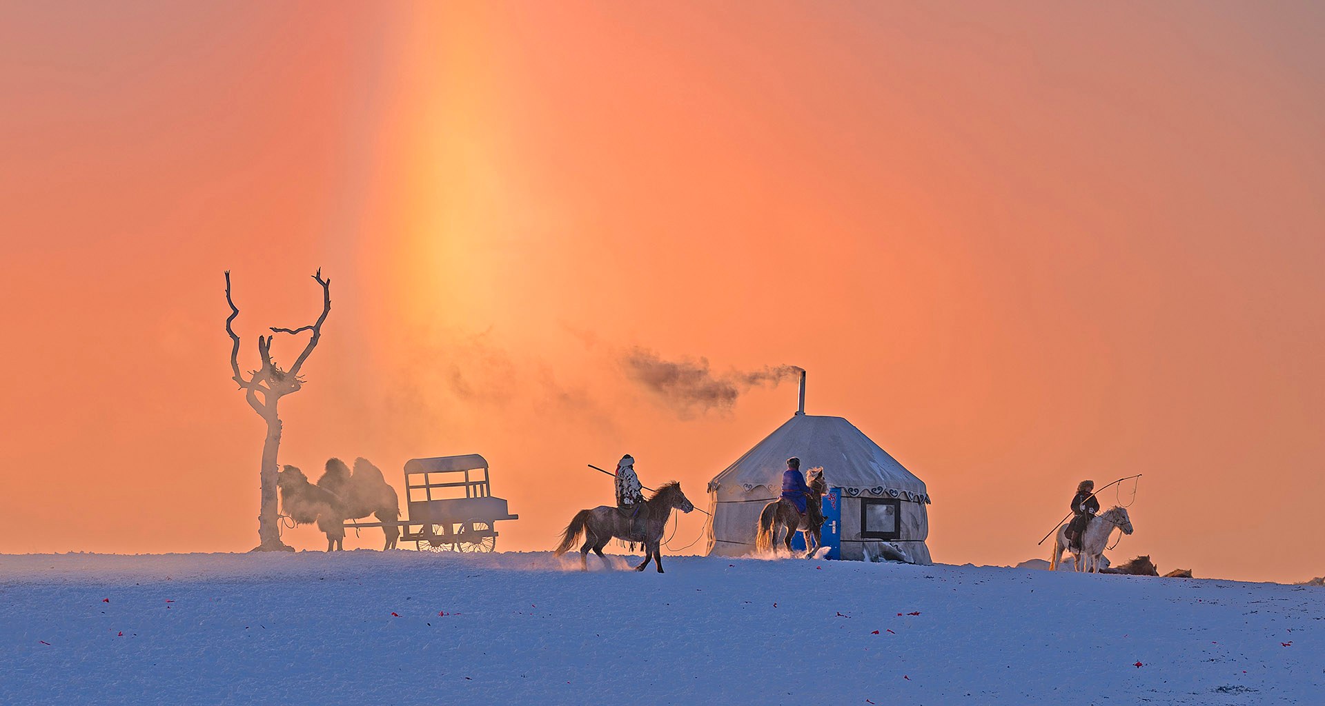 At sunset on the grassland