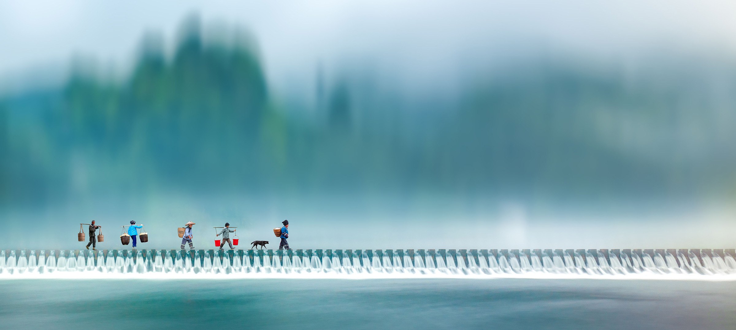 Morning Stroll