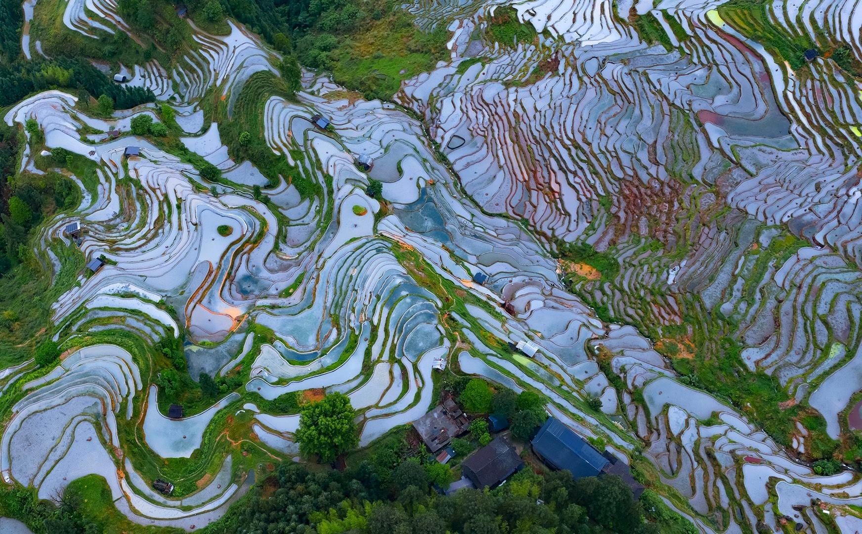 Spring Terraces