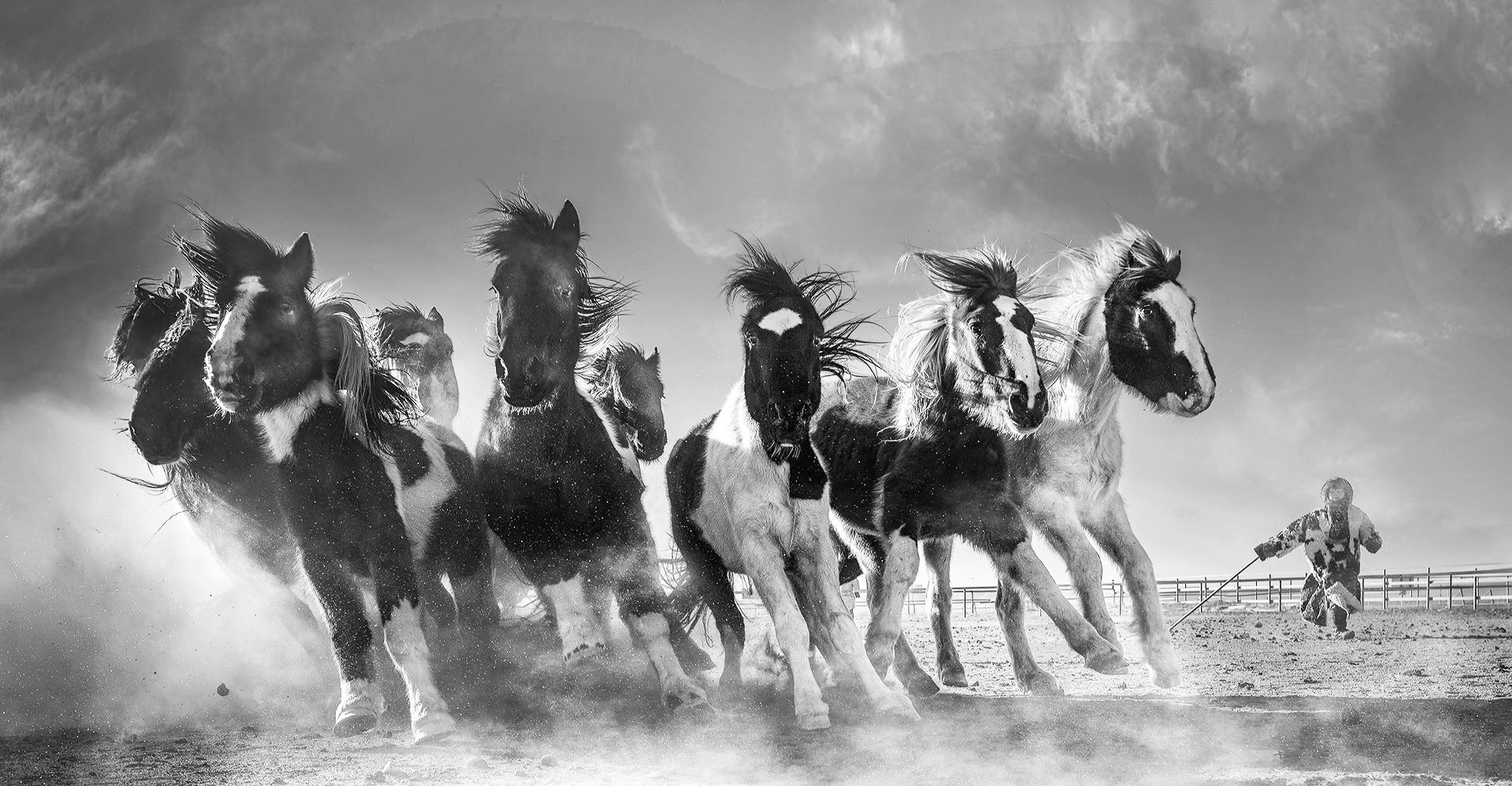 A galloping horse