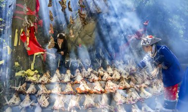 4月17日“多彩贵州之苗族千户百猪祭祖节、侗族农耕谷雨节“经典摄影团