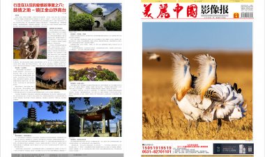 2024年8月《美丽中国影像》报电子版