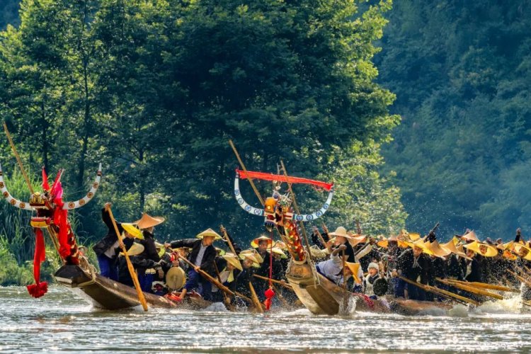 多彩贵州 苗族独木龙舟节