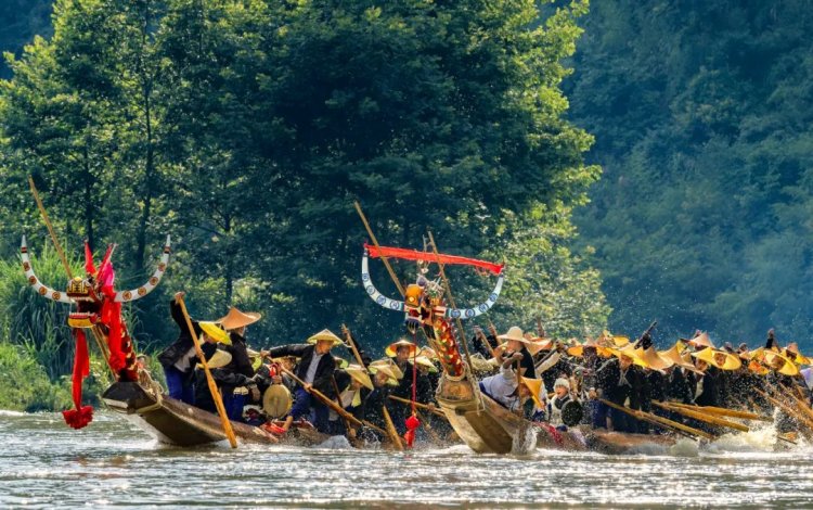 多彩贵州 苗族独木龙舟节